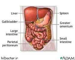 
	پاورپوینت چهار بخش دوازدهه
