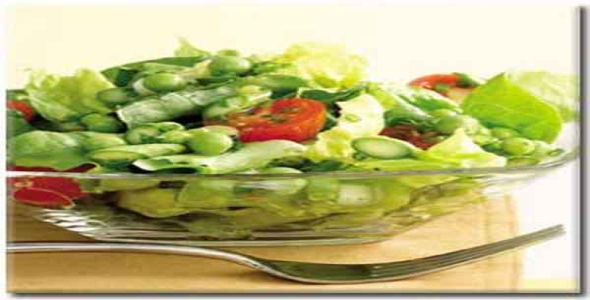     رژیم های غذایی برای لاغری و تناسب اندام - فروشگاه فایل
