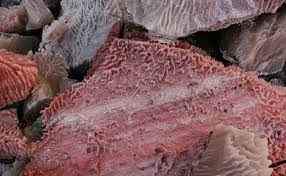 
	تحقیق آشنایی با زمین شناسی
