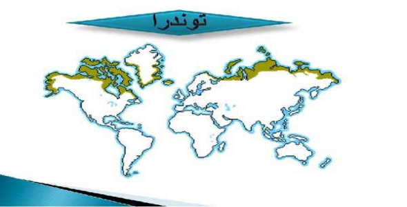     پاورپوینت آشنایی با اکولوژی محیطهای مختلف ( بیوم ها ) - فروشگاه فایل
