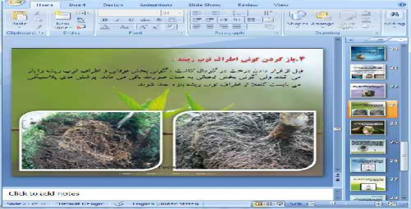 دانلود پاورپوینت بازکاشت گیاهان در یک منطقه، سمینار کلاسی رشته کشاورزی - 32 اسلاید