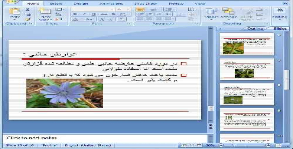 دانلود پاورپوینت خواص دارویی گیاه کاسنی- 16 اسلاید