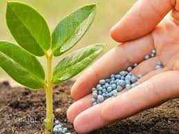 
	تحقیق کودهای شیمیایی
