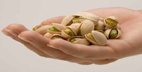 پروژه درباره پسته 60 ص 