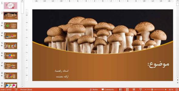 
	قالب پاورپوينت شیک قارچ
