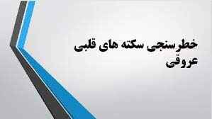 
	پاورپوینت خطرسنجی سکته های قلبی عروقی
