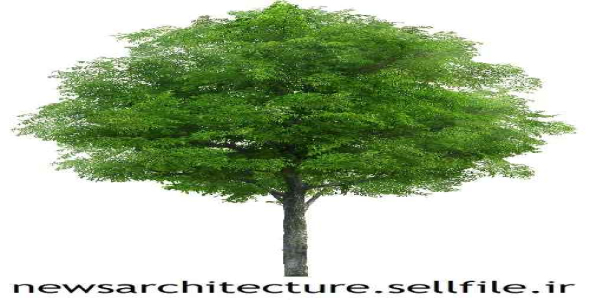 طرح لایه باز فوتوشاپ درخت  9