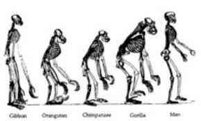 
	تحقیق دروغي به نام تكامل
