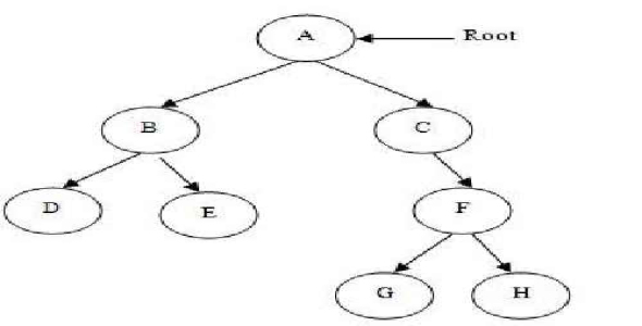 پاورپوینت کامل و جامع با عنوان درخت در کامپیوتر در 100 اسلاید