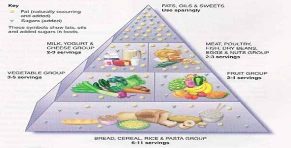     پاورپوینت درس مبانی تغذیه ورزشی - فروشگاه فایل
