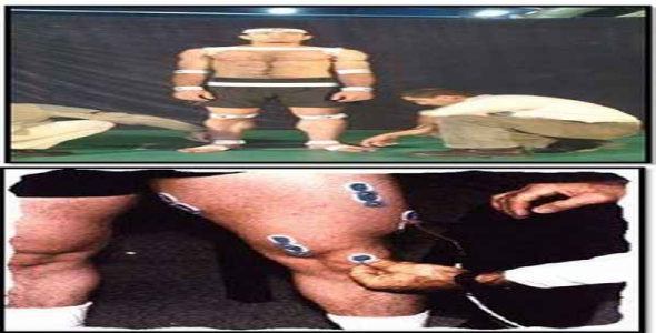     پاورپوینت بررسی مهندسی ورزش - فروشگاه فایل
