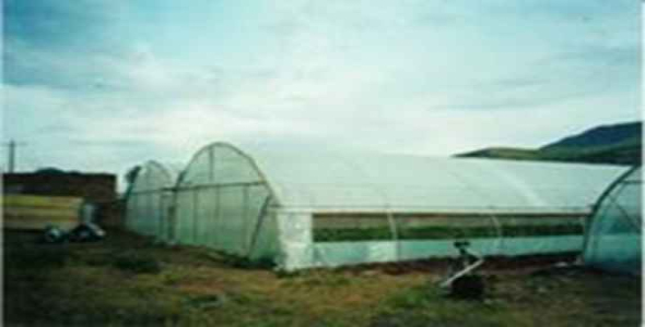     پاورپوینت بررسی مدیریت باغبانی سازمان جهاد کشاورزی خراسان رضوی - فروشگاه فایل
