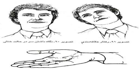     پاورپوینت بررسی زبان بدن - فروشگاه فایل
