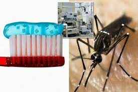 
	پاورپوینت درمان مالاریا
