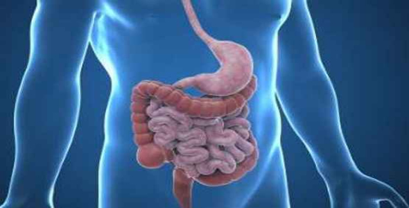 
	پاورپوینت داروهای مورد استفاده در بیماری های گوارشی
