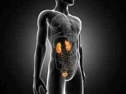 
	پاورپوینت نارسایی کلیوی
