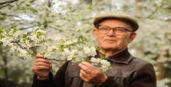 پاورپوینت-اهميت مسائل و مشکلات سالمندان- در 42اسلاید-powerpoin-ppt