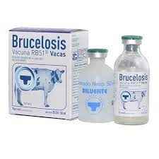 
	پاورپوینت میکروبیولوژی پزشکی واکسن سویه RB51
