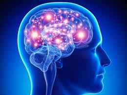 
	پاورپوینت اختلالات تشنجی seizure disorder
