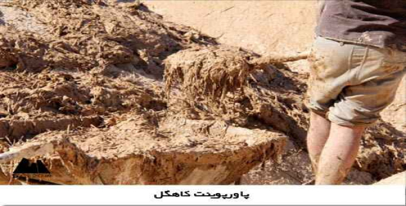 پاورپوینت کاهگل