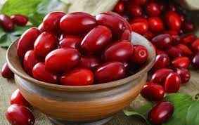 
	تحقیق فوايد تغذيه اي زغال اخته
