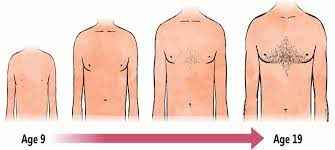 
	پاورپوینت تغییرات جسمی دوران بلوغ
