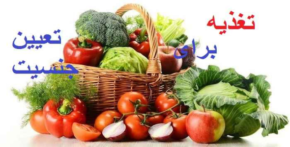 
	پاورپوینت تاثیر تغذیه بر جنسیت جنین
