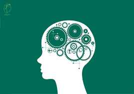 
	تحقیق فراشناخت
