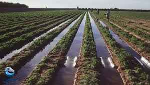 
	تحقیق تسطیح و دادن شیب مناسب به زمین های کشاورزی
