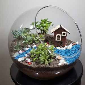 
	پاورپوینت تراریوم
