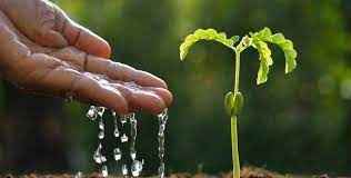 
	پاورپوینت آب و سلول و گیاه
