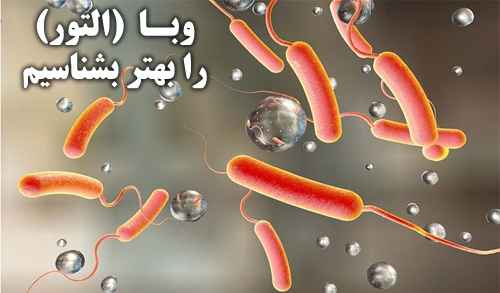 
	پاورپوینت بيماري وبا (التور)
