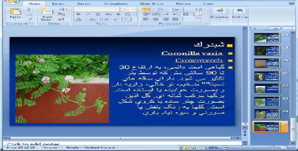 دانلود پاورپوینت علف های هرز - 25 اسلاید