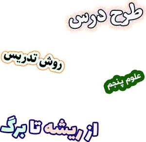 طرح درس و روش تدریس علوم پنجم، درس12 : از ریشه تا برگ