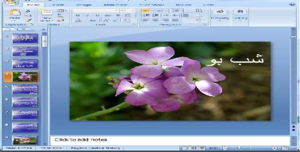 دانلود پاورپوینت خانواده شب بو - 64 اسلاید