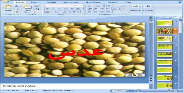 دانلود پاورپوینت عدس ، اماده ارائه به عنوان سمینار کلاسی- 30 اسلاید