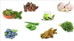 
	پاورپوینت دیابت و نقش گیاهان دارویی  در درمان آن
