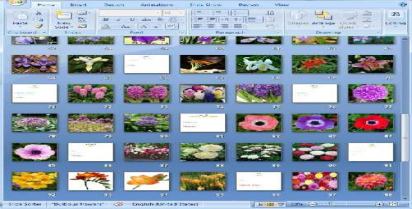 دانلود پاورپوینت گیاهان سوخوار زینتی - 121 اسلاید