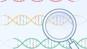 
	پاورپوینت الگوریتم ژنتیک

