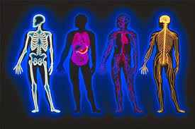 
	دانلود گزارش کارآموزی فيزيولوژي
