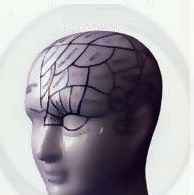 
	پاورپوینت روانشناسی سیاسی
