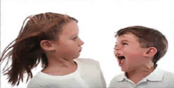 تحقیق آماده مبانی نظری در خصوص پرخاشگری