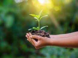 
	پاورپوینت سیستم مدیریت محیط زیست
