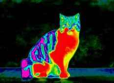 
	پاورپوینت مادون قرمز
