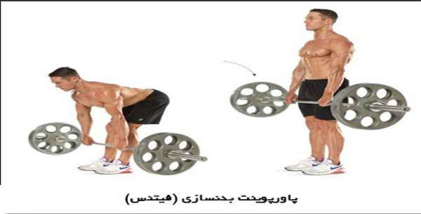     پاورپوینت بدنسازی (فیتنس) - فروشگاه فایل
