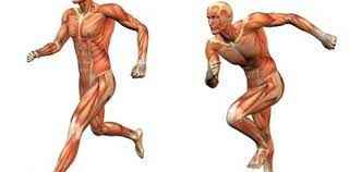 
	پاورپوینت آشنایی با آناتومی حرکتی و حرکت شناسی
