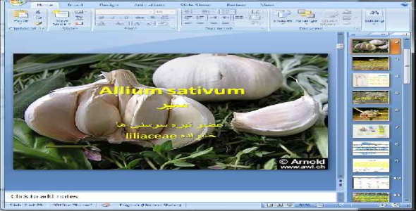 دانلود پاورپوینت سیر - 26 اسلاید