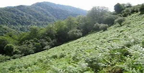     توسعه پایدار در معماری مسکونی مناطق معتدل و مرطوب - فروشگاه فایل
