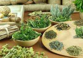 
	پاورپوینت گياهان داروئي موثر بر بيماريهاي پوستي
