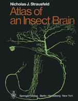 Atlas of an Insect Brain